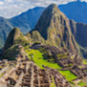 Meet your Posher, Damiano